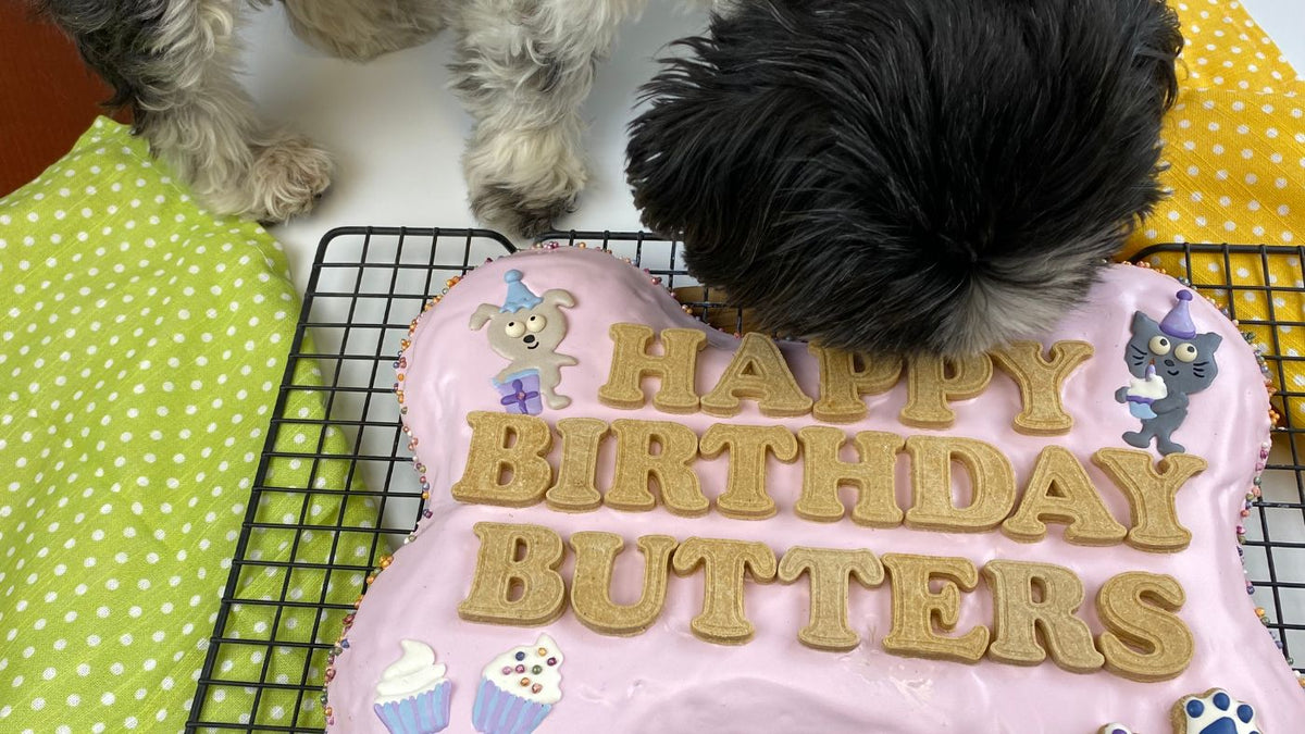 dog birthday cake