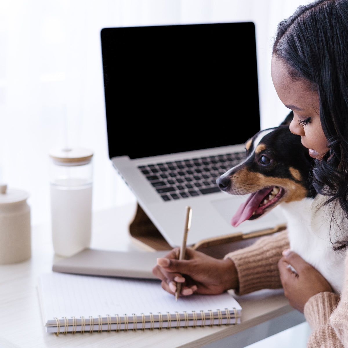 dog with computer