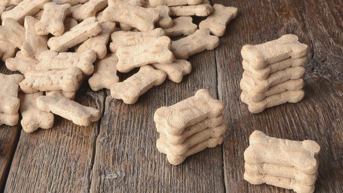 homemade dog treats