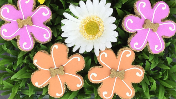 flower dog treats