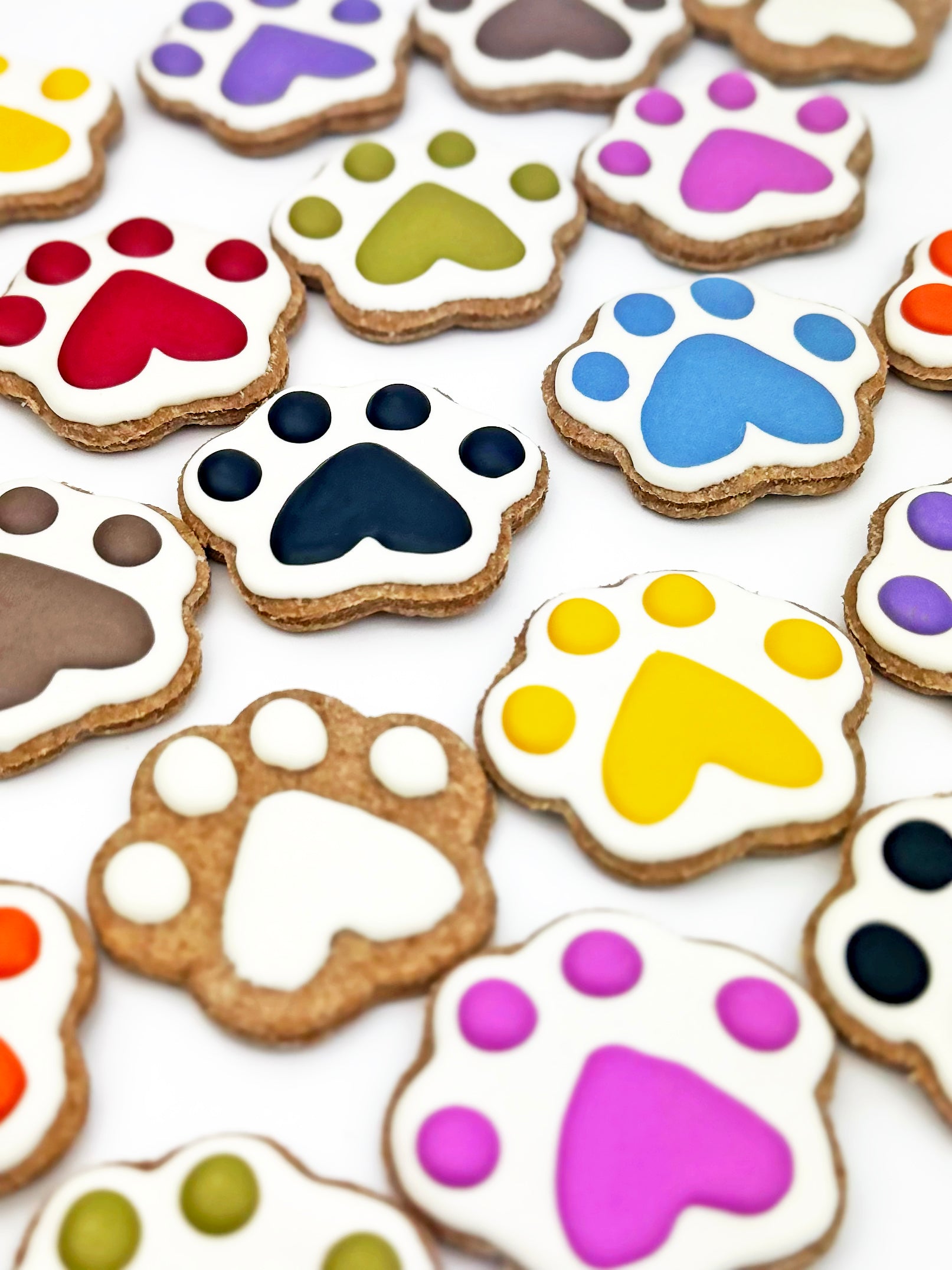 Dog Safe | Food Colors