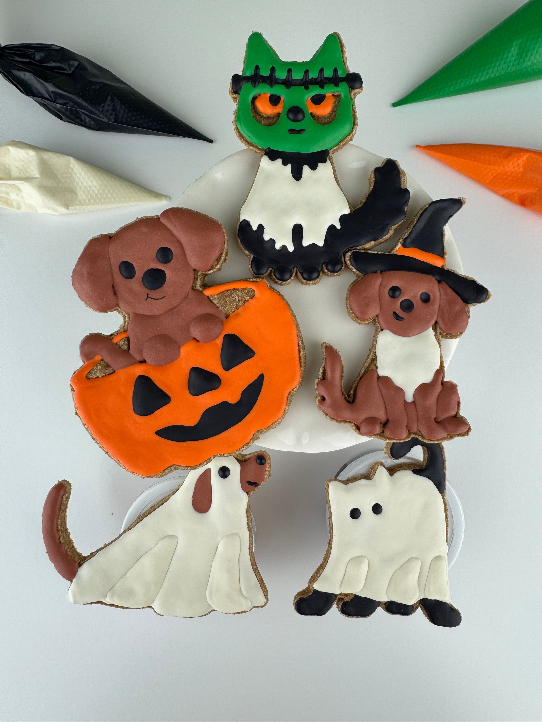 Hosting Dog Treat Decorating Classes 🐾 Halloween Theme