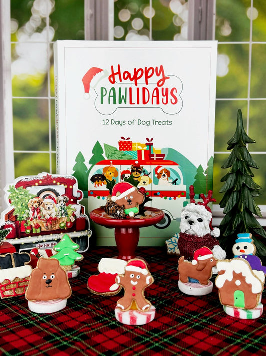 Advent Calendar with Reindeer Donut Dog Toy