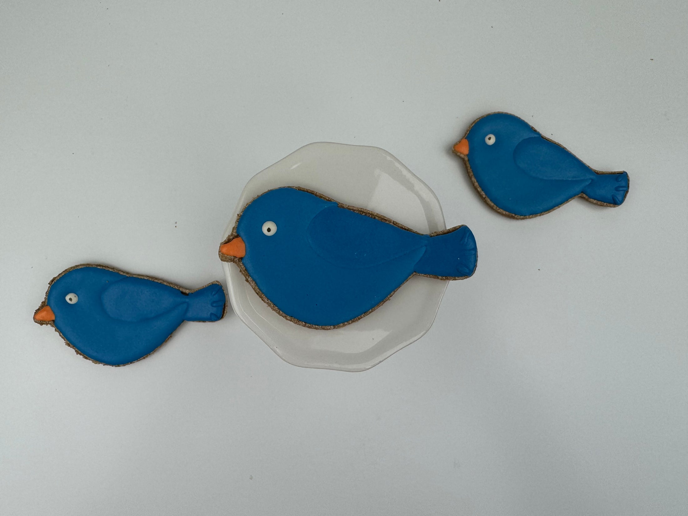 Red & Blue Birds- 6 treats