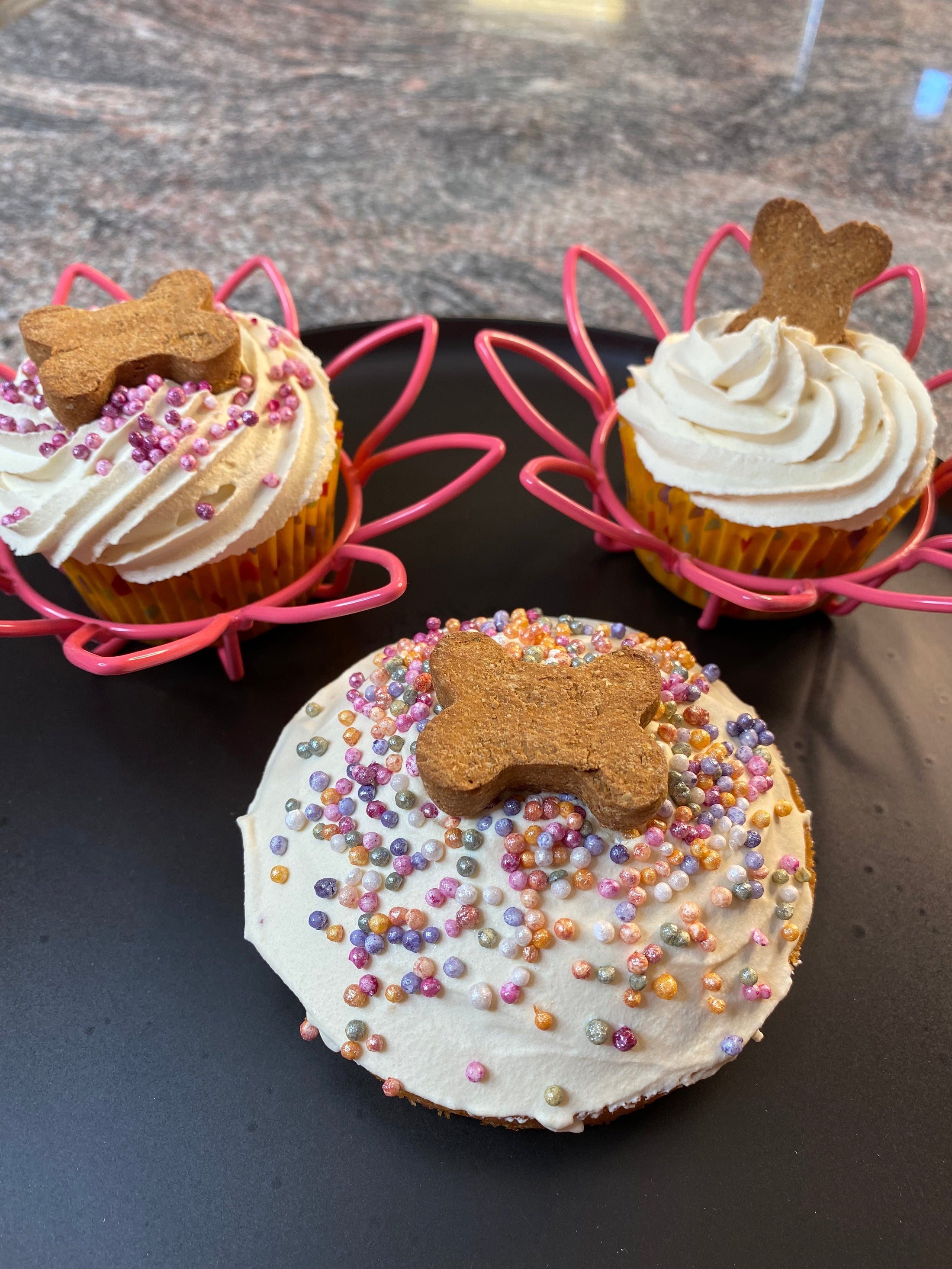 dog cupcakes frosted