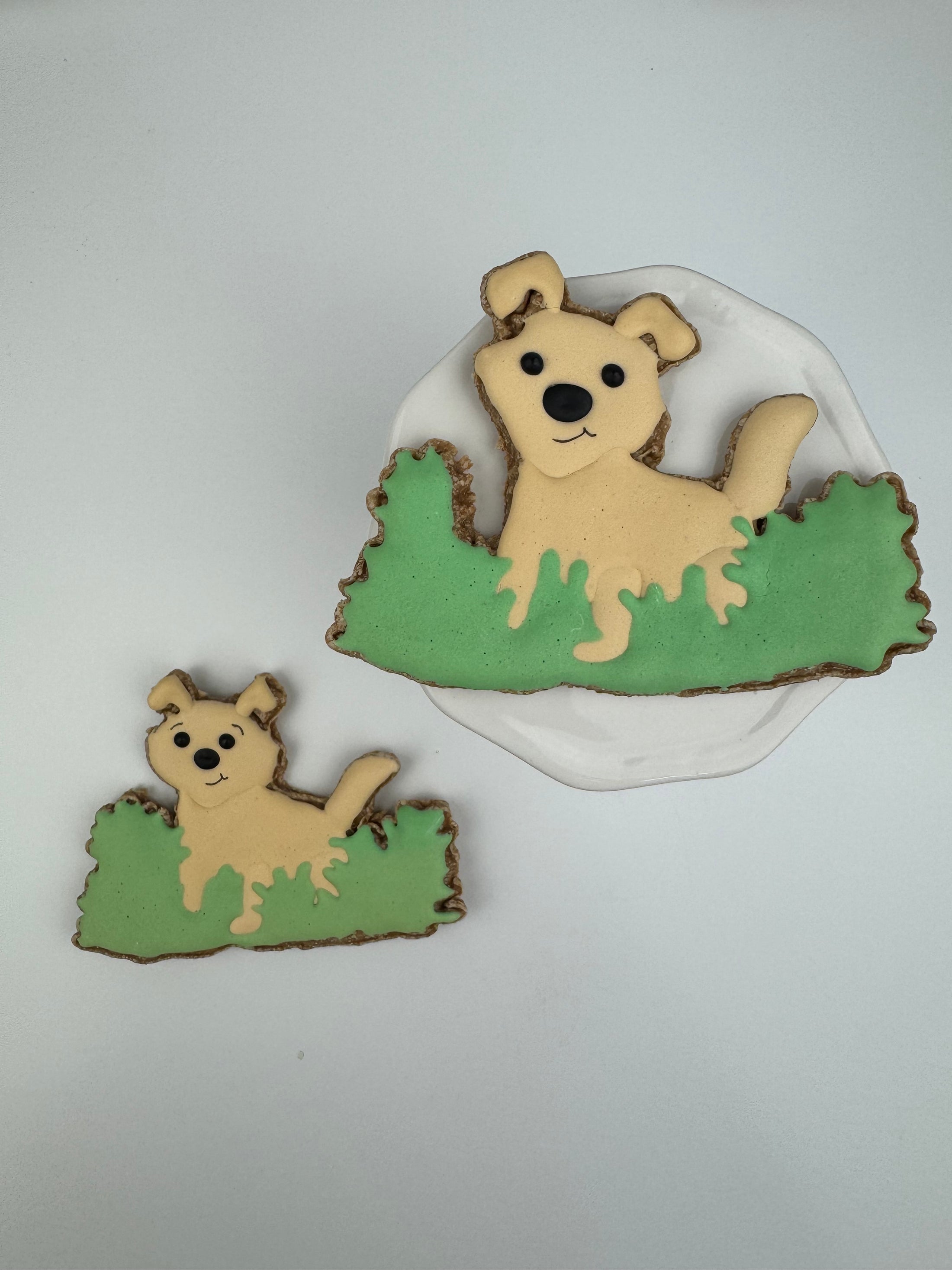 Dog in Grass - 2 treats