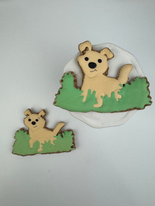 Dog in Grass - 2 treats