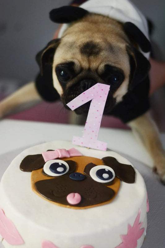 Dog Cake Fondant