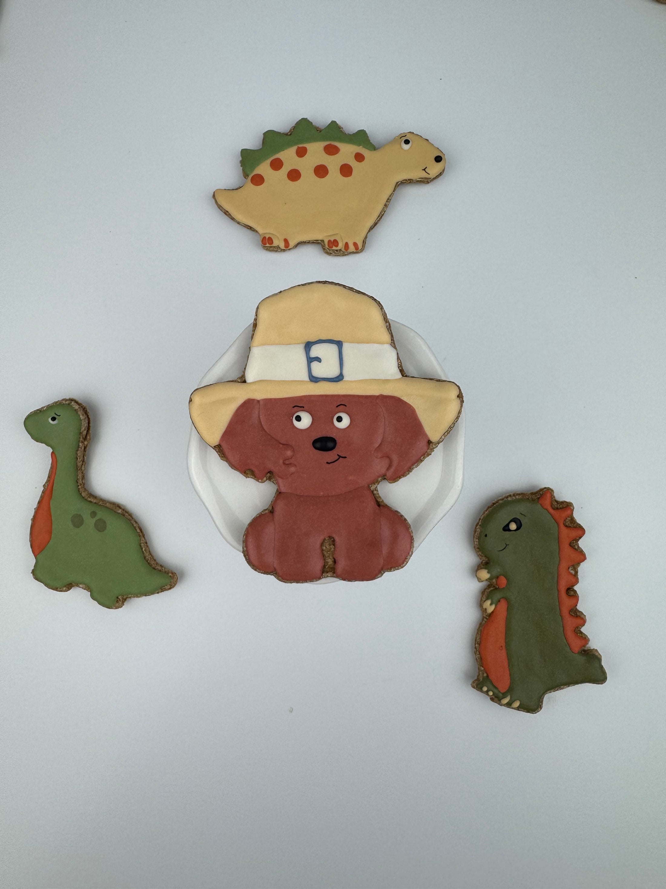 Friendly Dinos - 9 treats