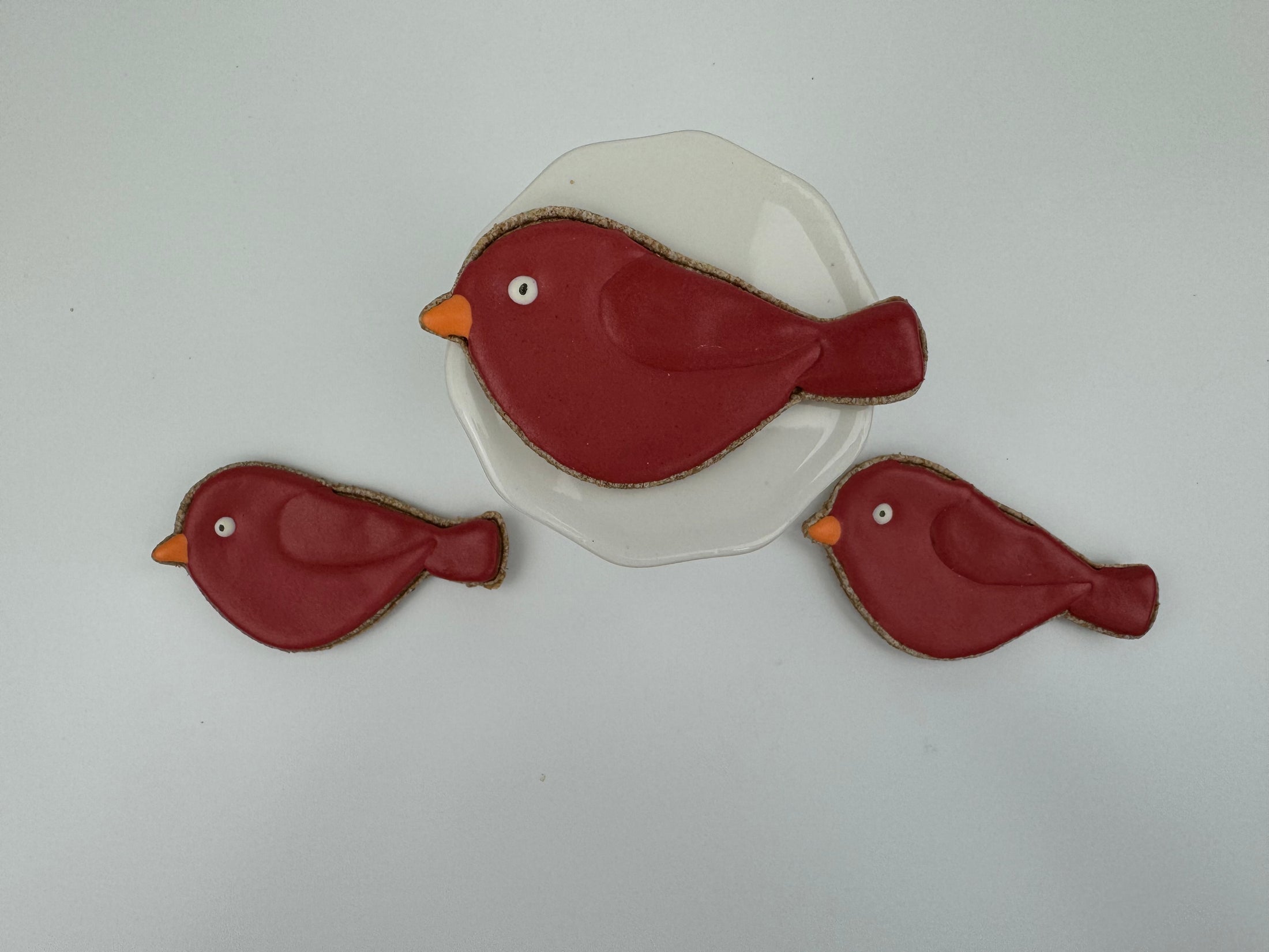 Red & Blue Birds- 6 treats